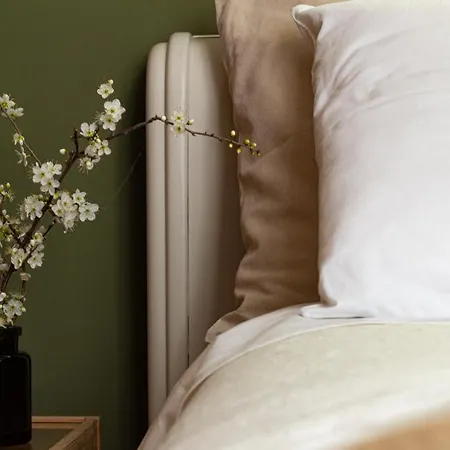 Lotus House Bed and breakfast Lanciano