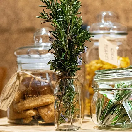 Lotus House Alojamento de Acomodação e Pequeno-almoço