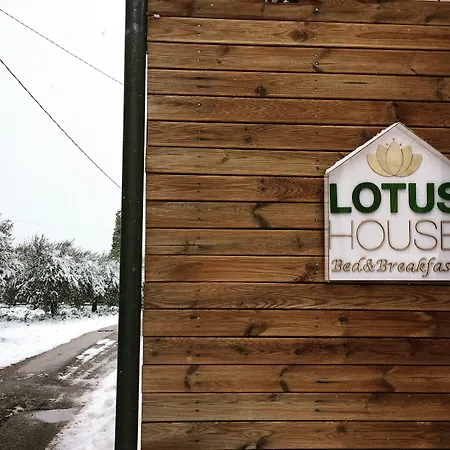 Bed & Breakfast Lotus House Lanciano