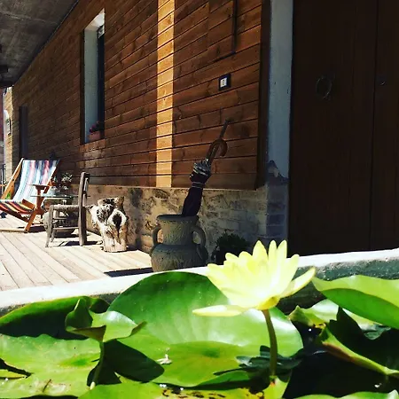 Lotus House
