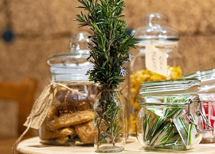 Lotus House Alojamento de Acomodação e Pequeno-almoço