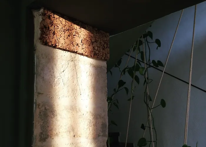 Lotus House Bed & Breakfast